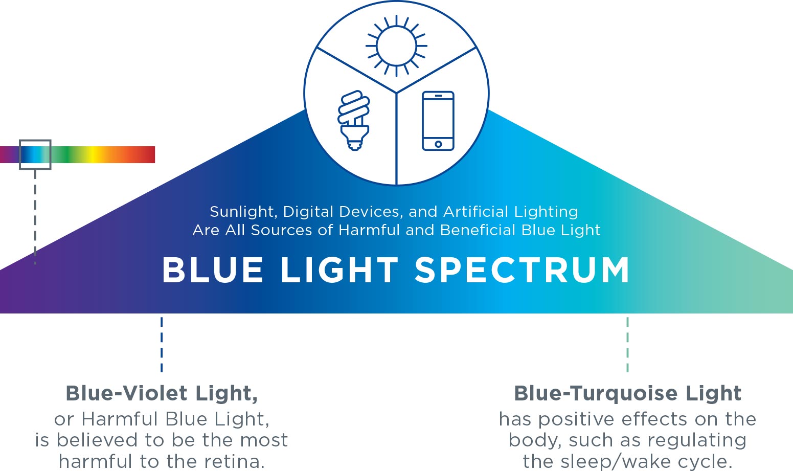 BLUE LIGHT SPECTRUM. Blue-Violet Light, or Harmful Blue Light, is believed to be the most harmful to the retina. Blue-Turquoise Light has positive effects on the body, such as regulating the sleep/wake cycle.